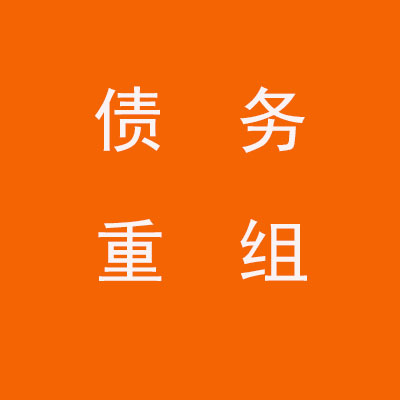 电白个人债务重组优化